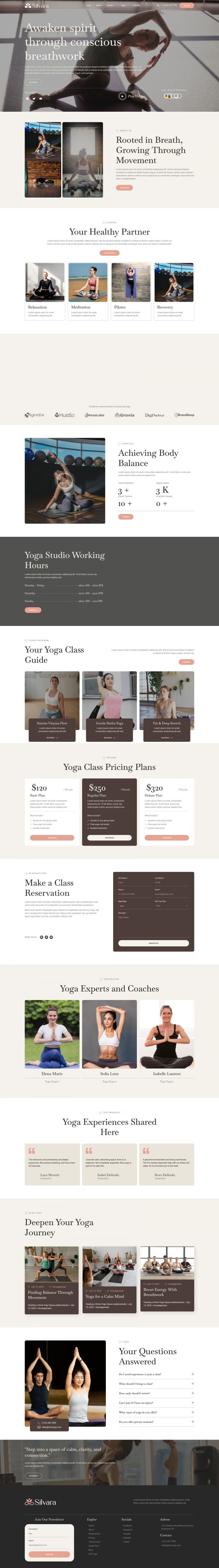 Шаблон ThemeForest Silvara WordPress шаблон ThemeForest Silvara