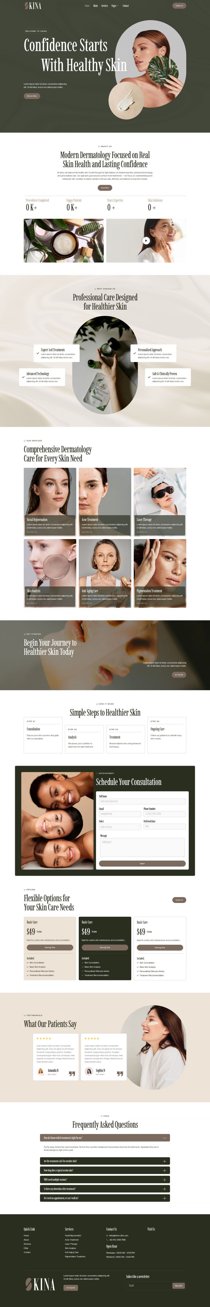 WordPress шаблон ThemeForest Skina