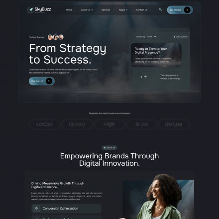ThemeForest Skybuzz