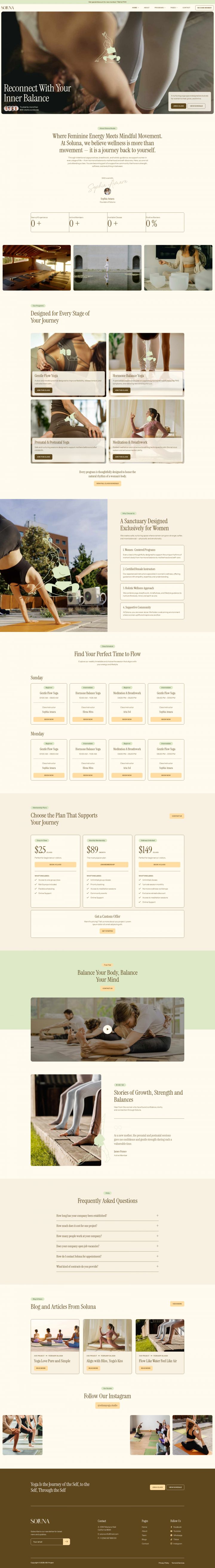 WordPress шаблон ThemeForest Soluna