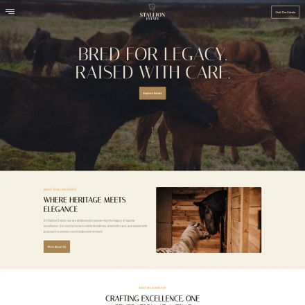 ThemeForest StallionEstate