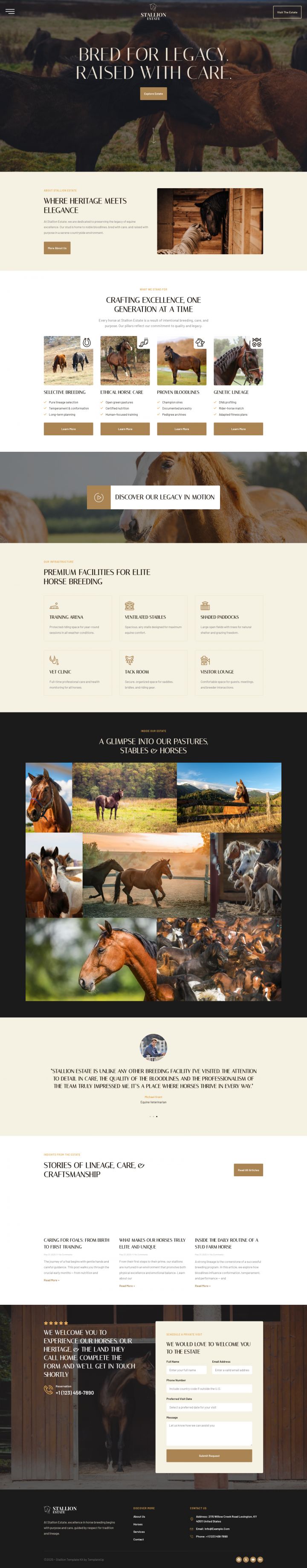 WordPress шаблон ThemeForest StallionEstate
