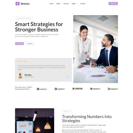 ThemeForest Stravica