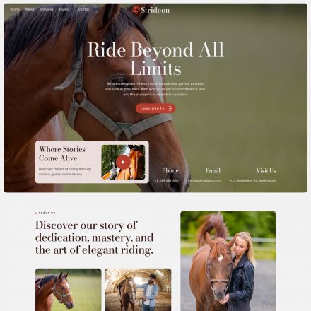 ThemeForest Strideon