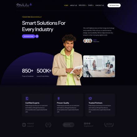 ThemeForest Strivix