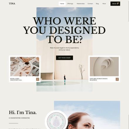 ThemeForest Tina