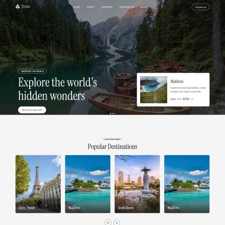 ThemeForest Trivio