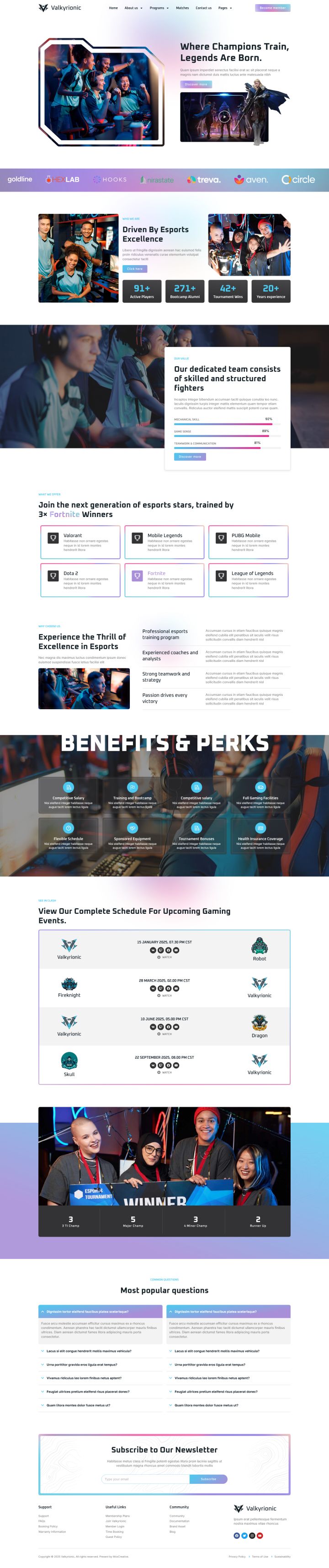 WordPress шаблон ThemeForest Valkyrionic