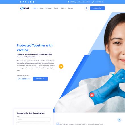ThemeForest Vaxi