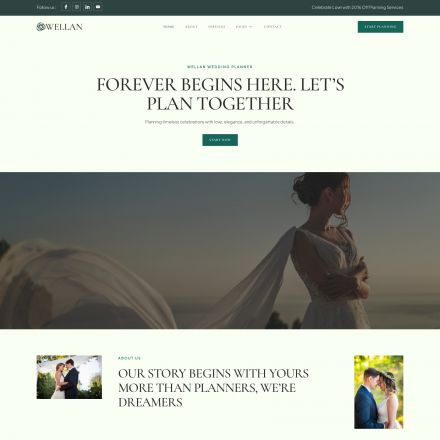 ThemeForest Wellan