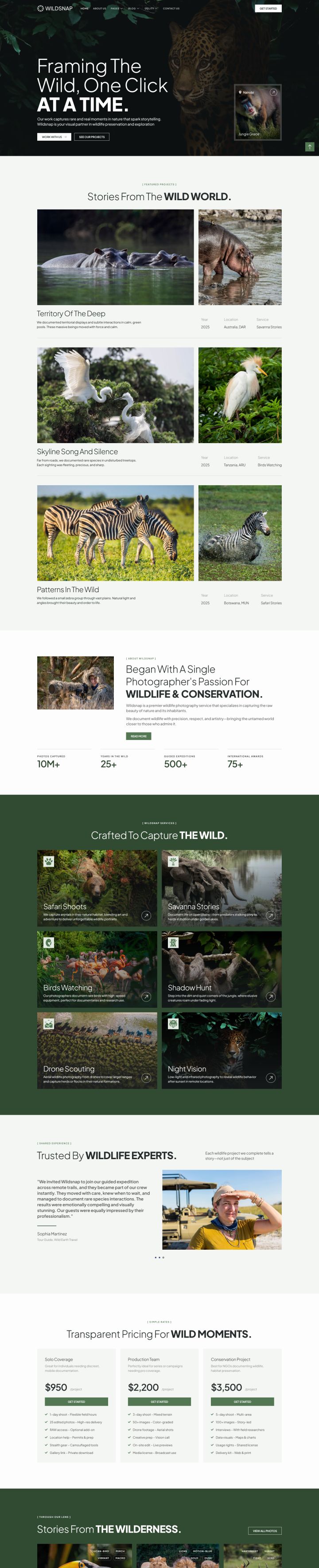 Шаблон ThemeForest Wildsnap WordPress шаблон ThemeForest Wildsnap