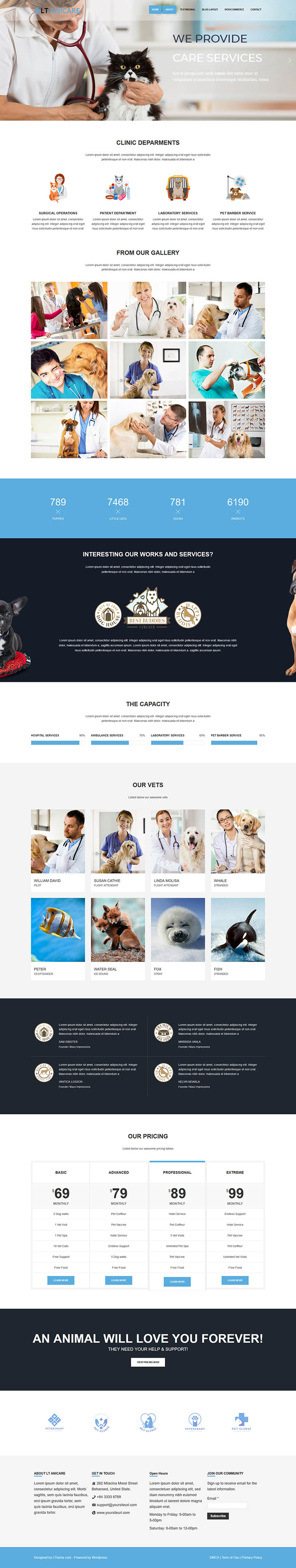 WordPress шаблон LTheme Anicare Onepage