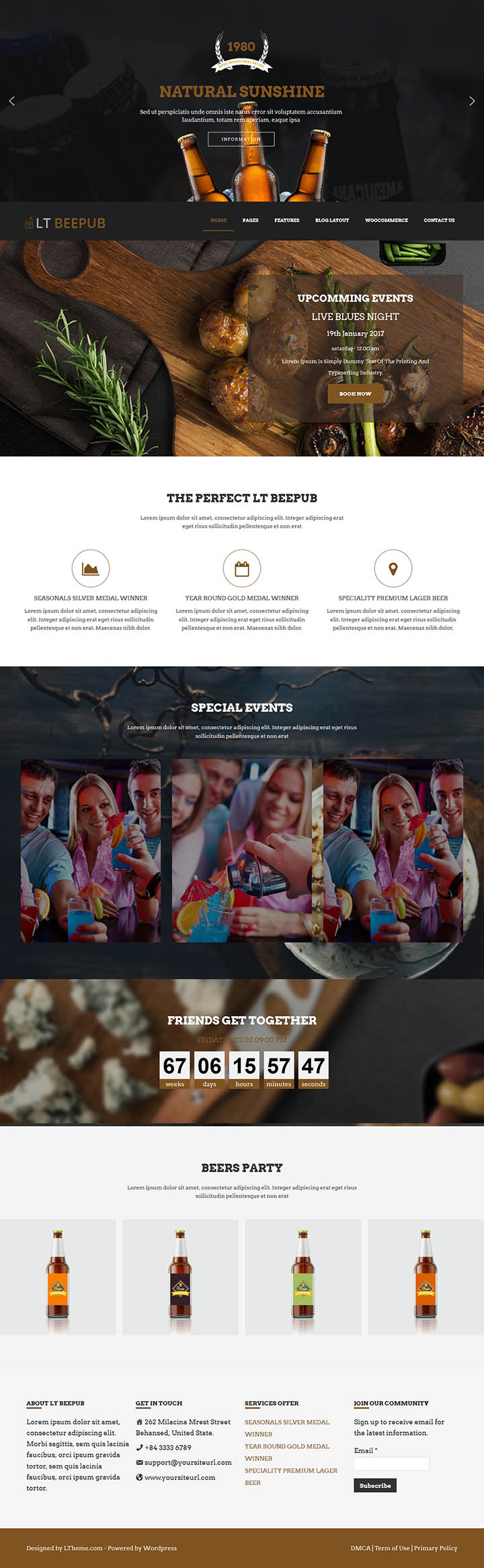 WordPress шаблон LTheme Beepub