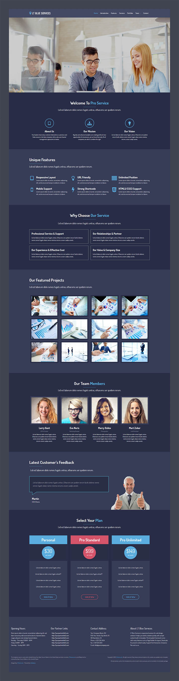 WordPress шаблон LTheme Blue Services Onepage