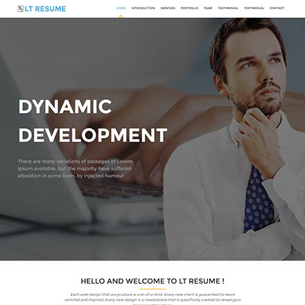 LTheme Resume Onepage