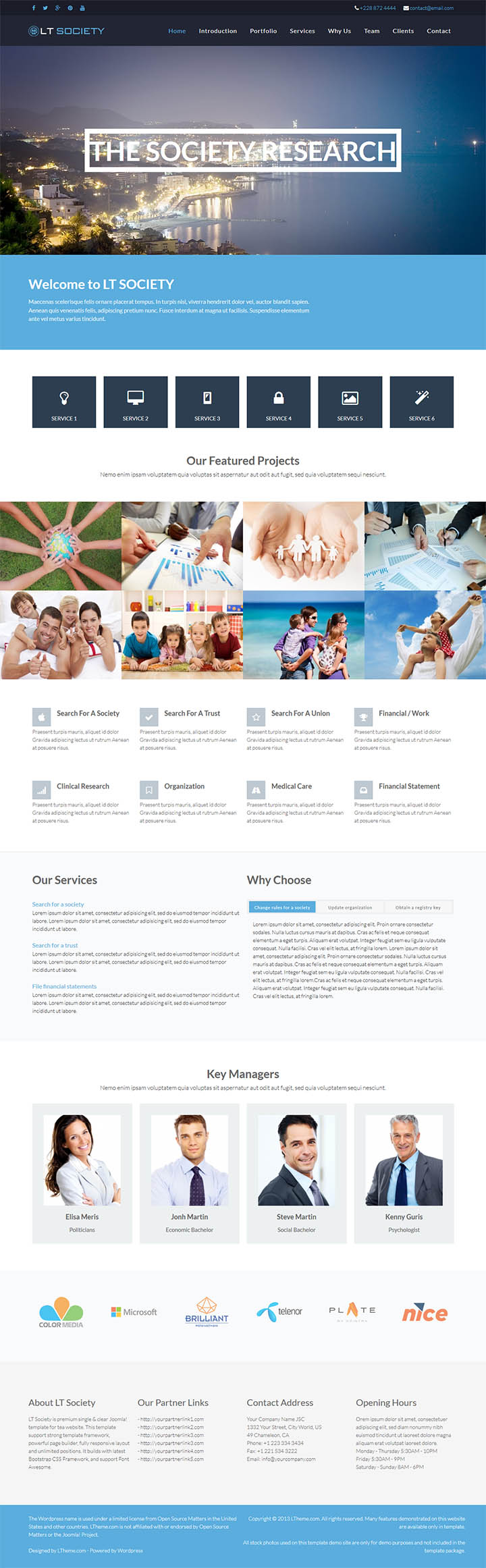 WordPress шаблон LTheme Society Onepage