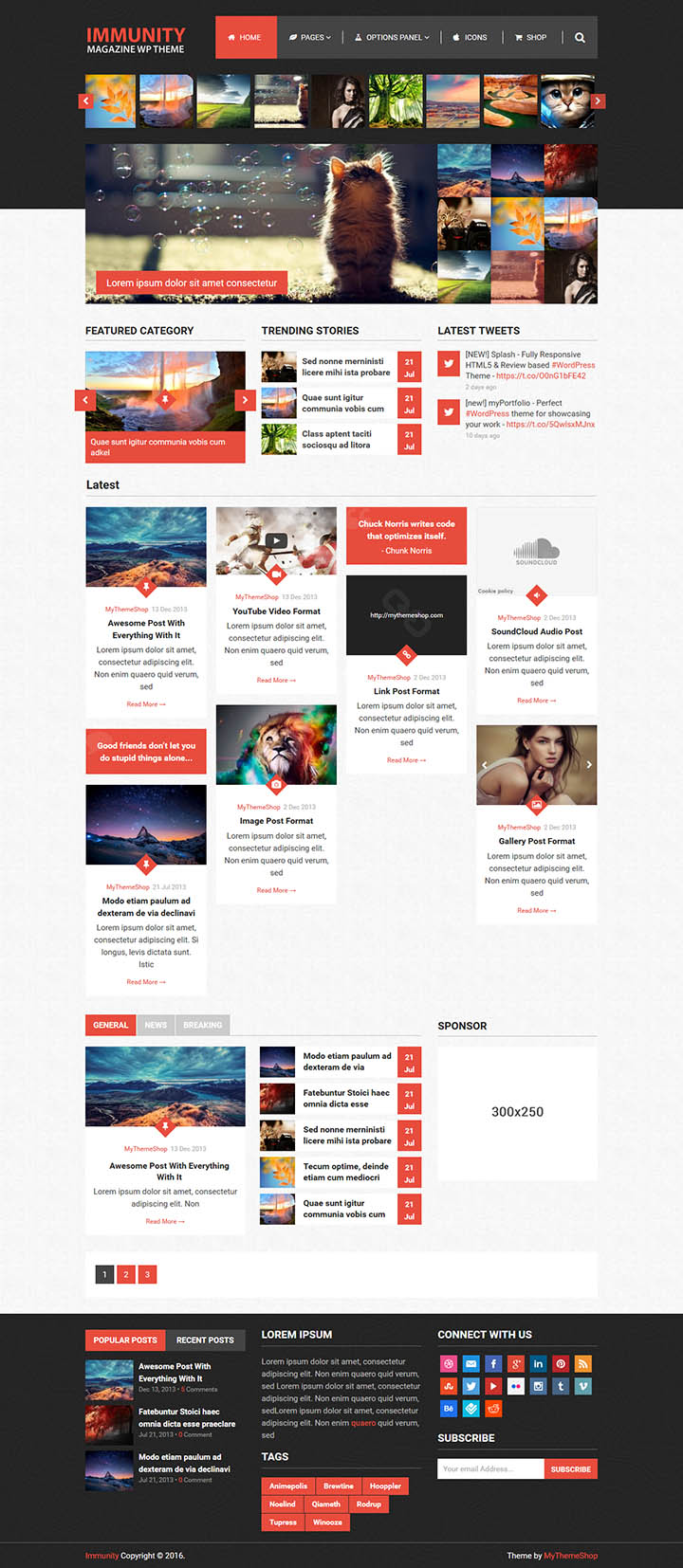 WordPress шаблон MyThemeShop Immunity