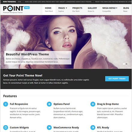 MyThemeShop PointPro