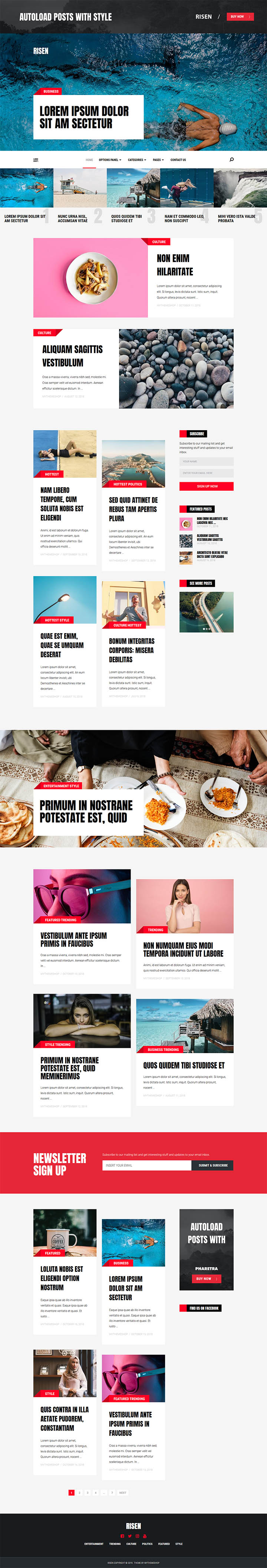 WordPress шаблон MyThemeShop Risen