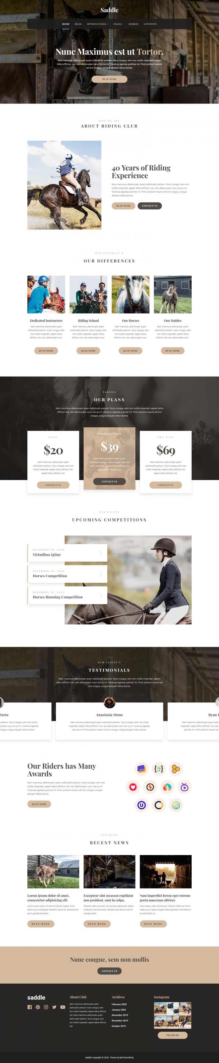 WordPress шаблон MyThemeShop Saddle