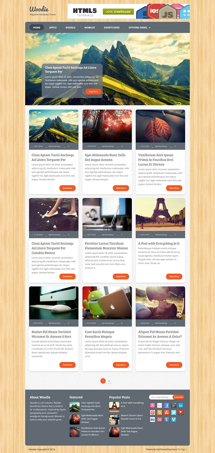 WordPress шаблон MyThemeShop Woodie