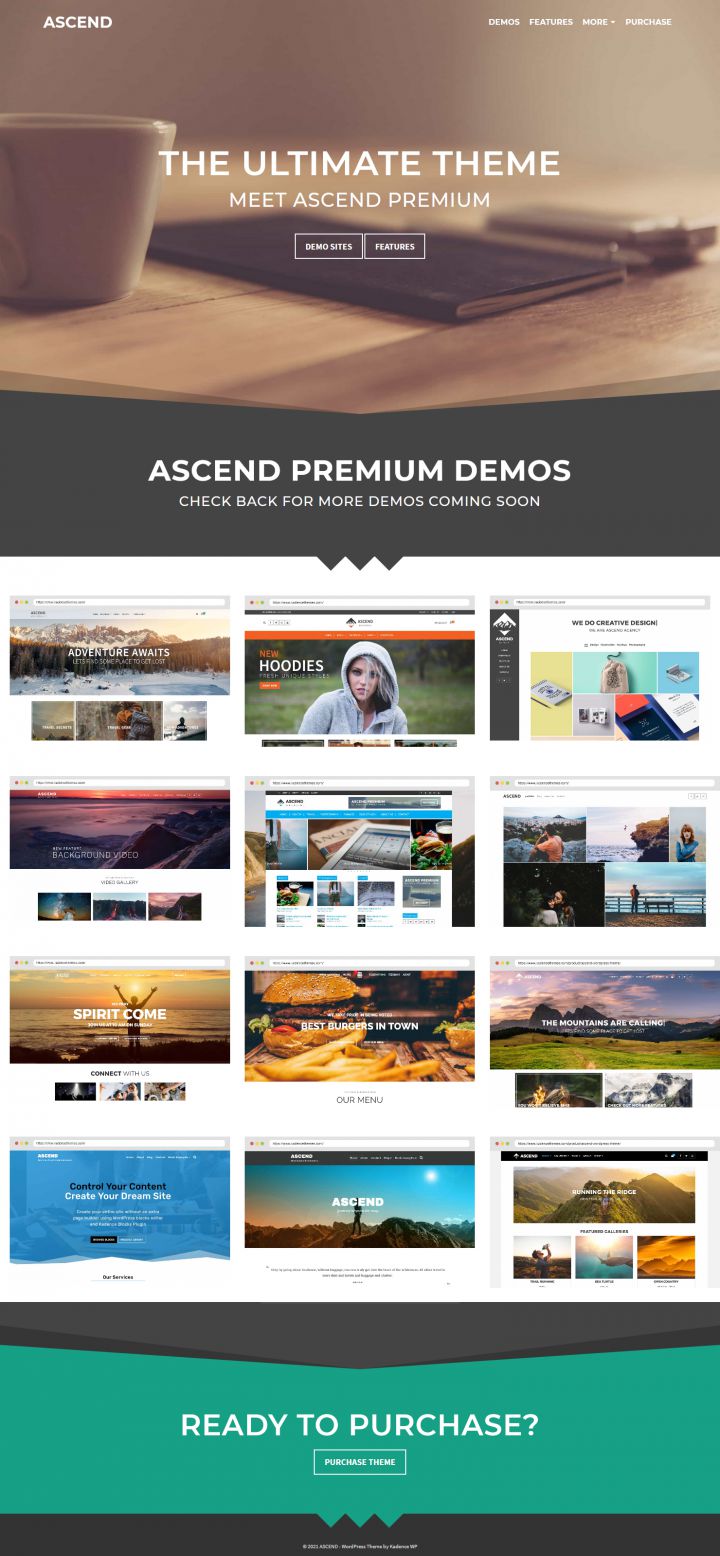 WordPress шаблон Kadence WP Ascend