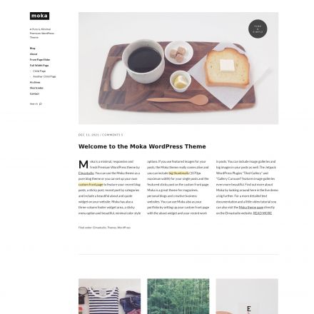 ElmaStudio Moka