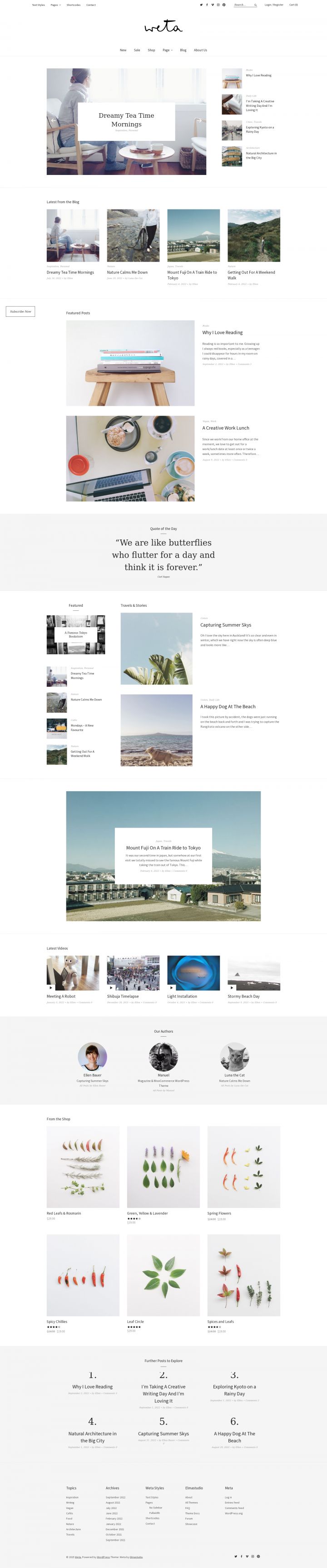 WordPress шаблон ElmaStudio Weta