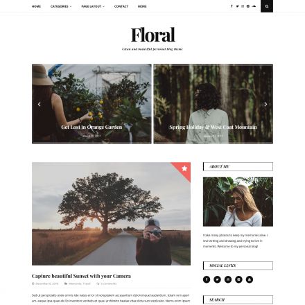 GretaThemes Floral