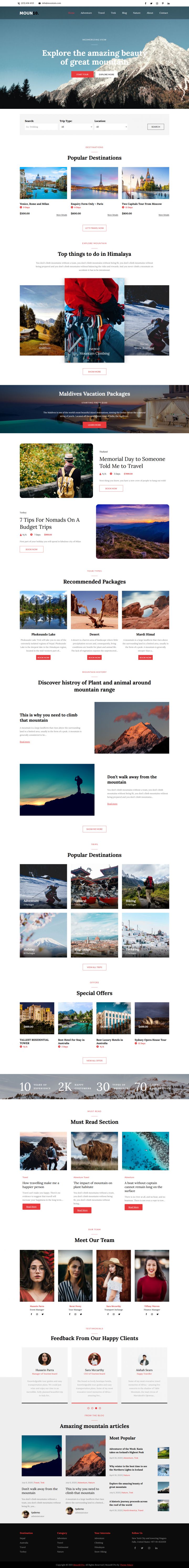 WordPress шаблон Theme Palace Moun10 Pro