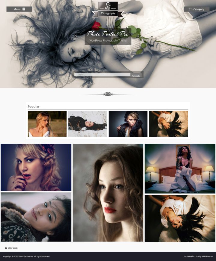 WordPress шаблон Theme Palace Photo Perfect Pro