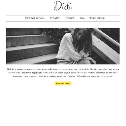 ThemeIsle Didi