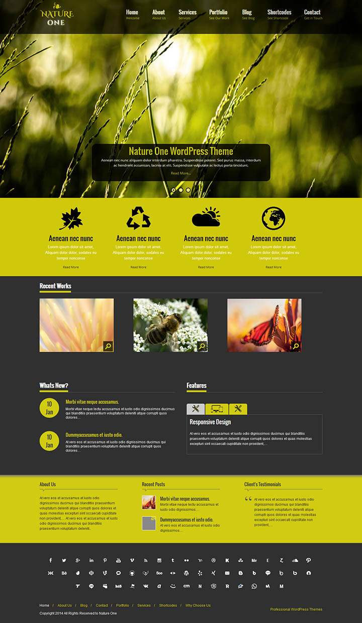 WordPress шаблон SKT Themes Nature One Pro