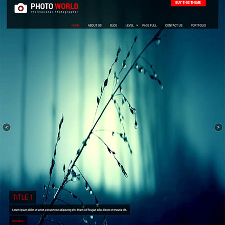 SKT Themes Photo World Pro