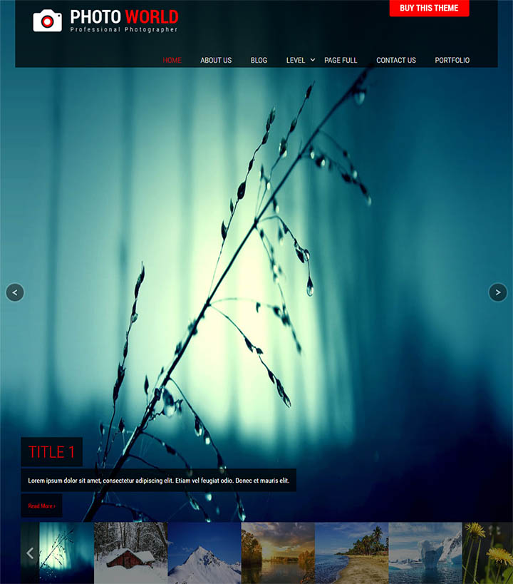 WordPress шаблон SKT Themes Photo World Pro