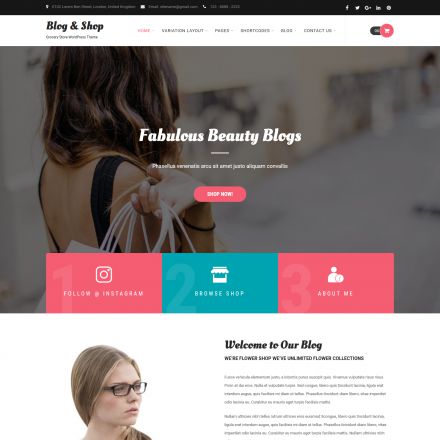 SKT Themes Blog And Shop