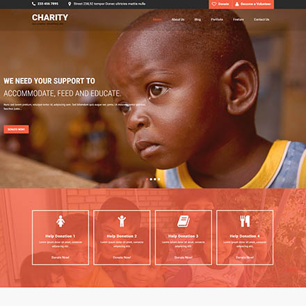 SKT Themes Charity Pro