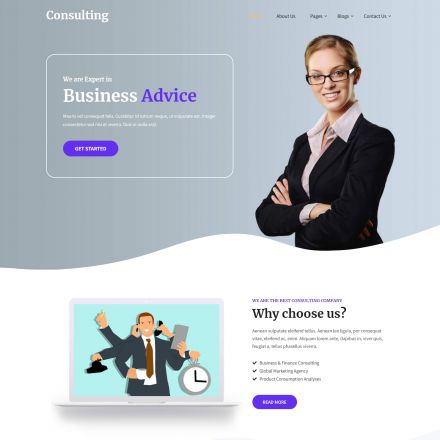 SKT Themes Consulting Pro