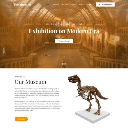 SKT Themes Museum Pro