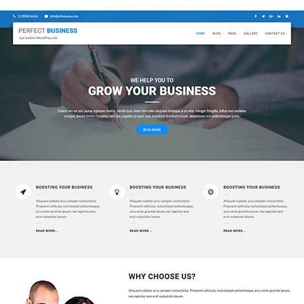 SKT Themes Perfect Business