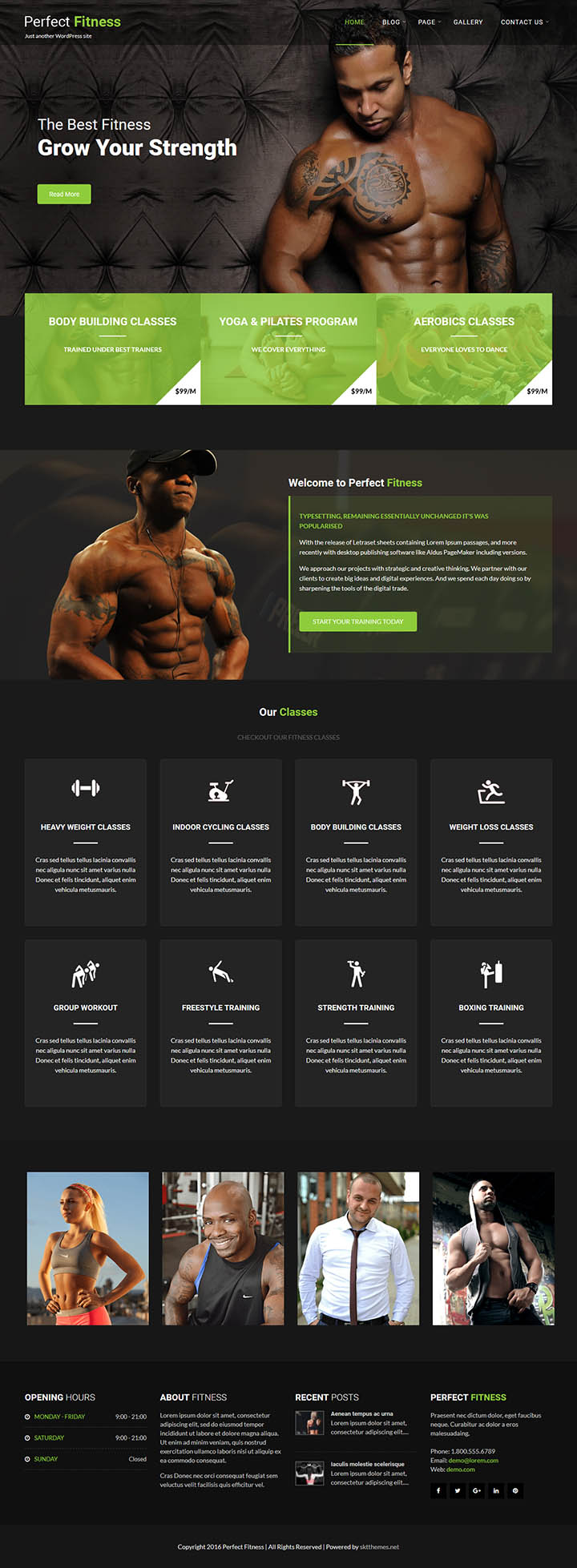 WordPress шаблон SKT Themes Perfect Fitness