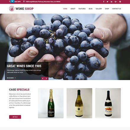 SKT Themes Wine Pro