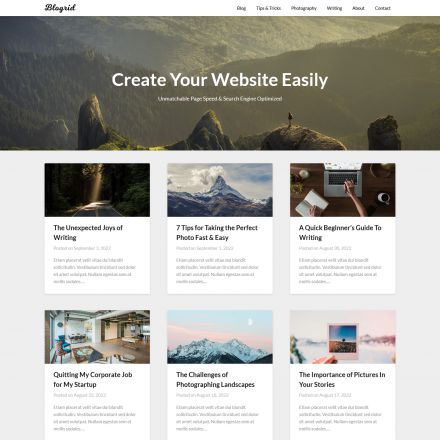 Superb Themes Blogrid