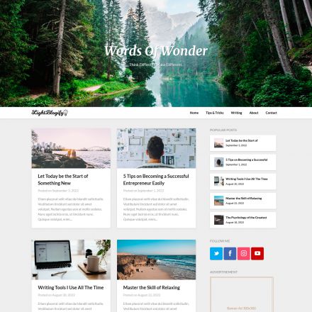 Superb Themes Light Blogify