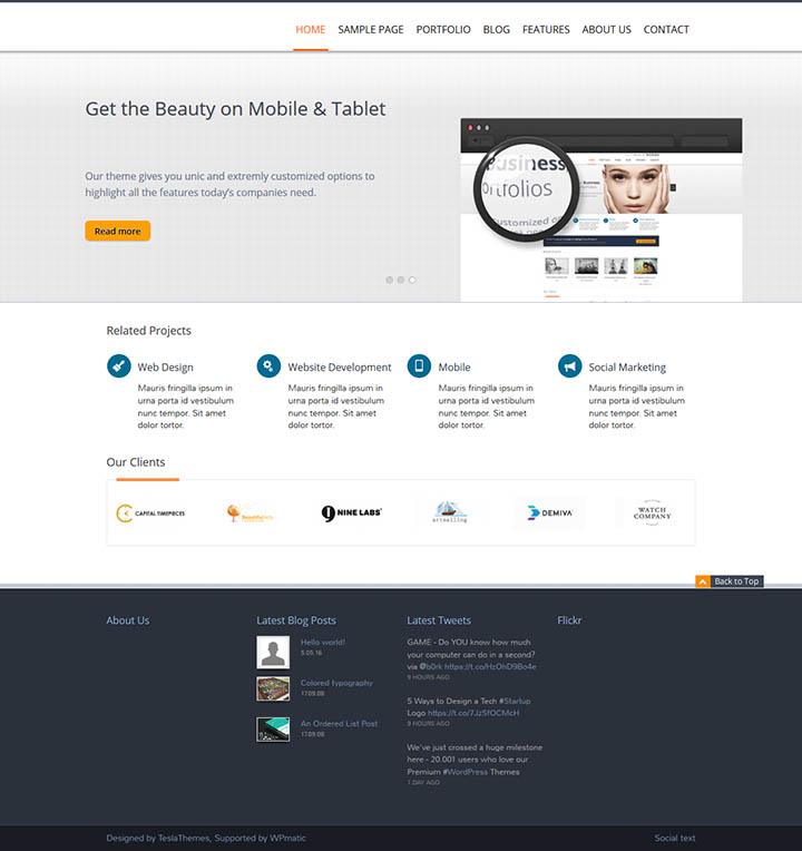 WordPress шаблон TeslaThemes Belle