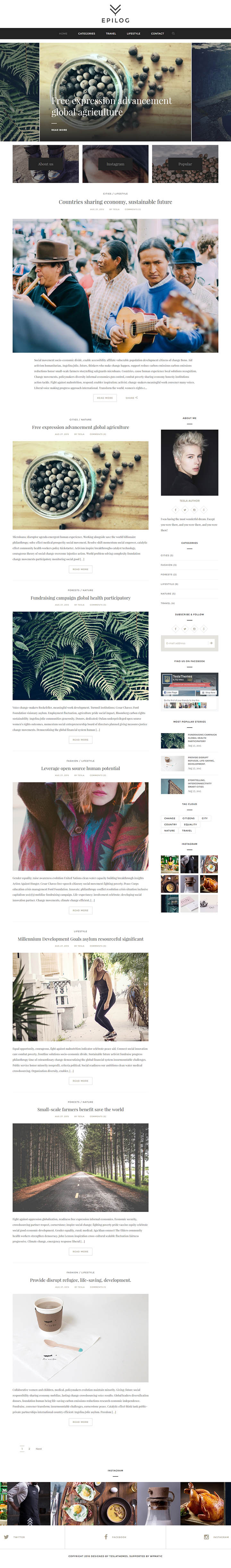 WordPress шаблон TeslaThemes Epilog