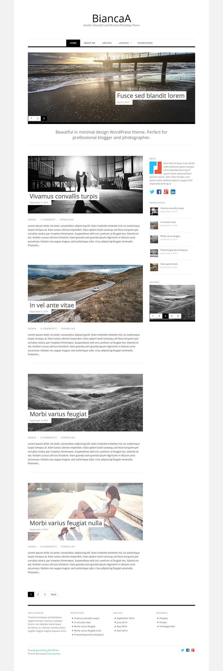 WordPress шаблон Theme Junkie BiancaA