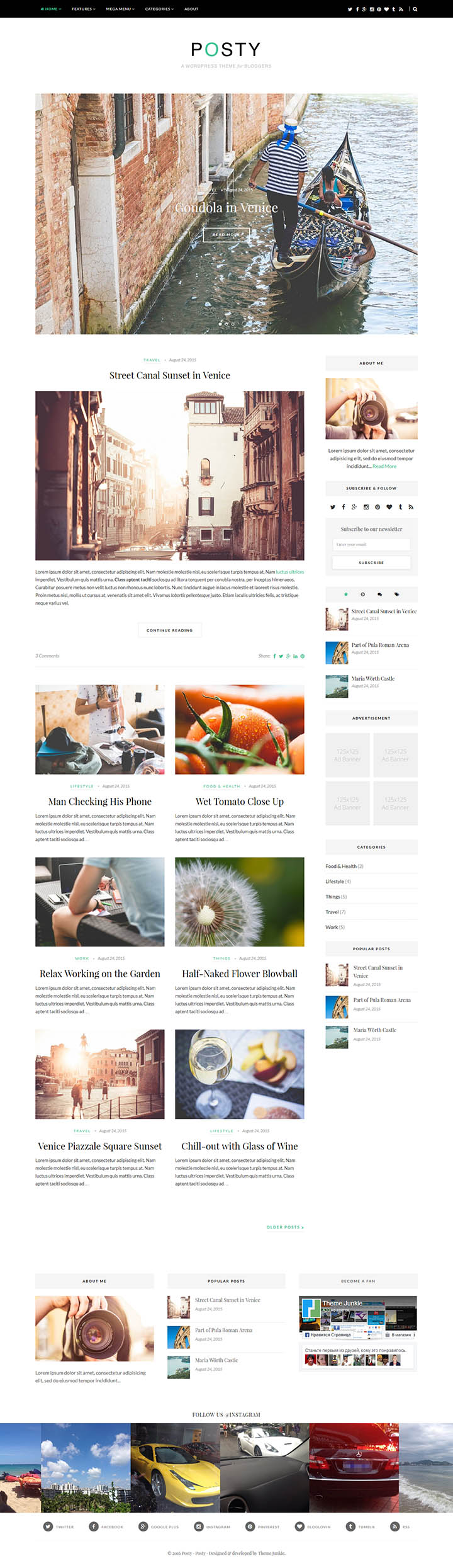 WordPress шаблон Theme Junkie Posty