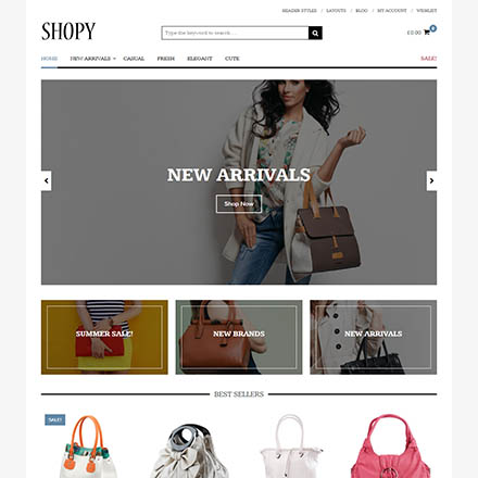 Theme Junkie Shopy