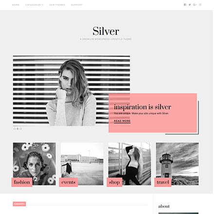 Theme Junkie Silver